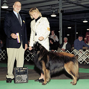 Paris went Best of Breed in February 2005.