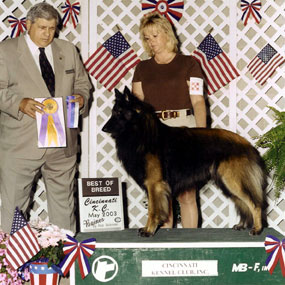 Paris was Best of Breed in May 2003.