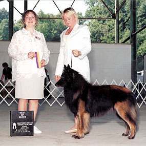 Paris went Best of Breed in June 2005.