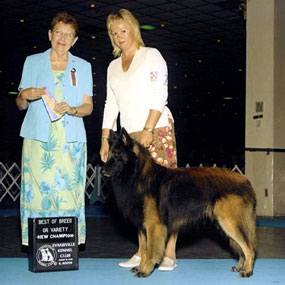 Paris finished his Championship by going Best of Breed in August 2003.