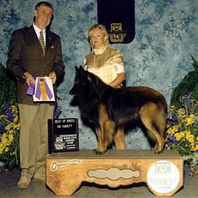 Paris also went Best of Breed the next day.