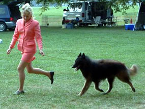 Brooke gaits Paris in September 2004.