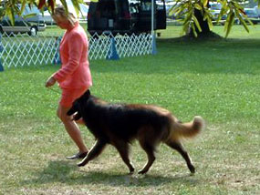 More gaiting. September 2004.