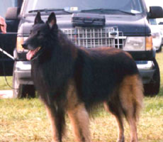 Go Ahead Pappa Don't Preach (Rusty)