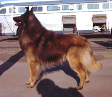 Hitimes Csam O'Crocs Blancs (Sam)