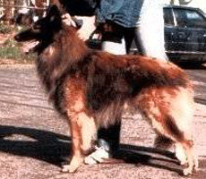 Sandyhill's Aujourd'hui (Auj)