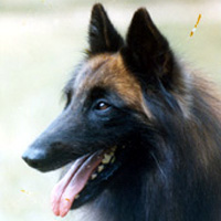 Dali De La Pouroffe (Dali)