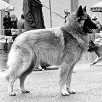 Beggy of The Two (Beggy)