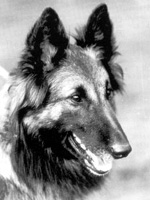 Ijes van de Hoge Laër (Ijes)