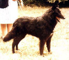 Perette du Chemin des Dames (Perette)