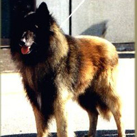 Sam de la Douce Plaine (Sam)