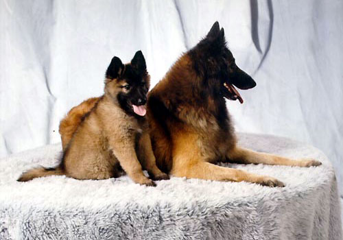 mollymomsis.jpg (38K)