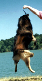 Quazar jumping (August 2002).