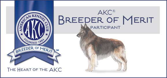 AKC Breeder of Merit