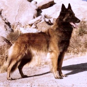 Hossana Du Masque Noir