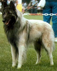 Ar&egrave;s du Bois du T&ocirc;t