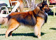 Corsairs Beaujangles