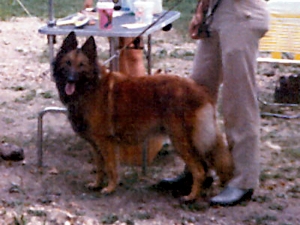 Go Ahead Make My Day