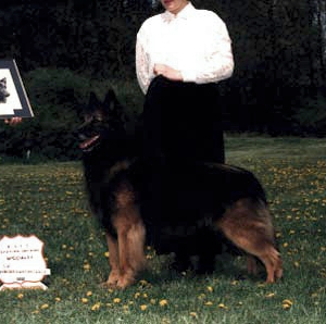 Dinar D'Or De Valter