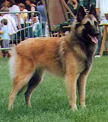 Eden de la Clairi&egrave;re aux Louves