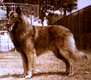 Elysee De Mont-Cenis