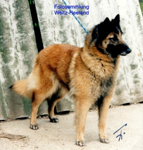 Esy du Cr&eacute;puscule des Loups