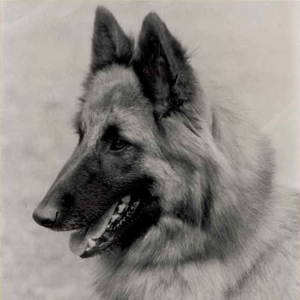 Fara de la Grande Lande