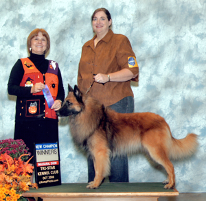 KO's Fire On The Mountain