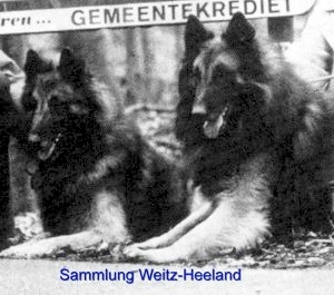 Gert van de Hoge Laer (with Grimm)