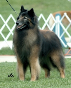 Bilgay's Summer Storm