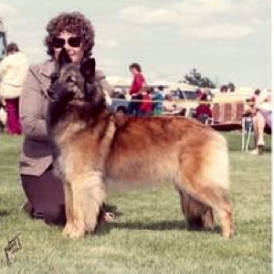 High Sierra Wild Sea Holly