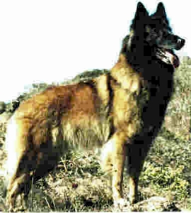 Starwind's Jessi Symons