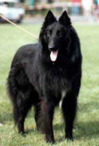 Kadour de la Qui&egrave;vre