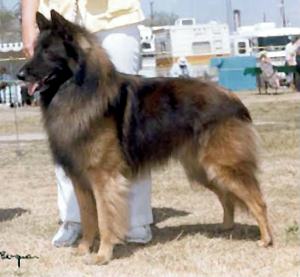 Yamin Van 'T Hof Melyn