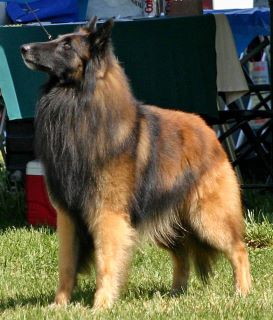 Starbright Summerstorm U!Run