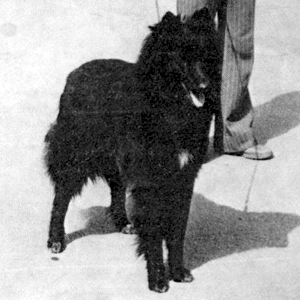 Rendal de la Douce Plaine