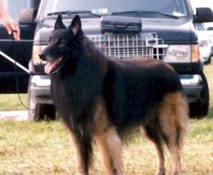 Go Ahead Pappa Don't Preach