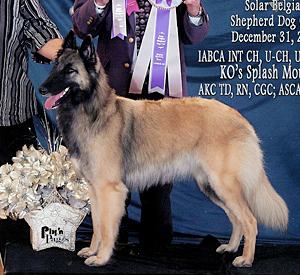 KO's Splash Mountain