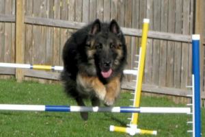 KO Ain't No Mtn High Enough