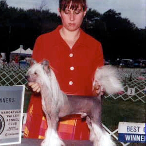 Wudnshu's I'll Be Back