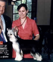 Sol-Orr's Safe Bet Of Jann