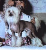 Sun-A-Ra's The Second Coming