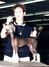 Wudnshu's Willie Wonka