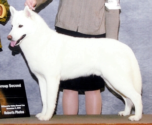 Alpine's Carte Blanche