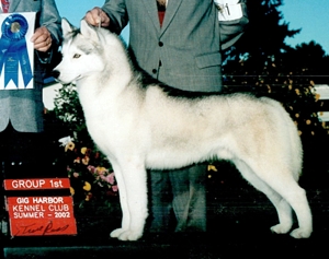 Aatukwoods Alpine Express