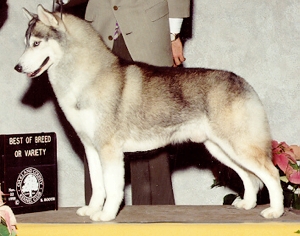 Icewindnkateydidstoppriority