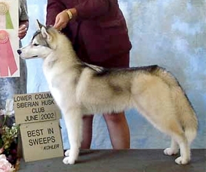 Kristari's Russian Roulette