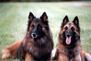 Luc and Maria in October 2002.